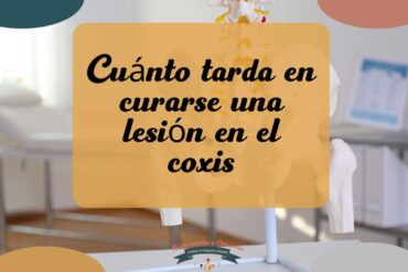 cuánto tarda en curarse una lesión en el coxis
