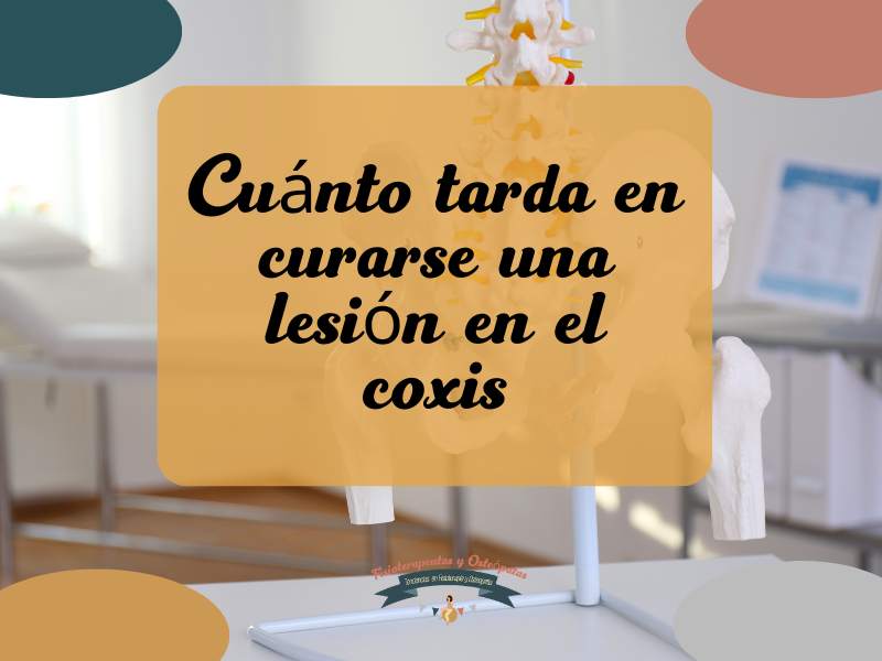 cuánto tarda en curarse una lesión en el coxis